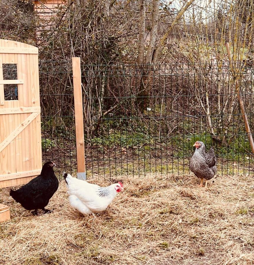 Une Pause S'Impose ;) Méry-sur-Cher Exteriér fotografie